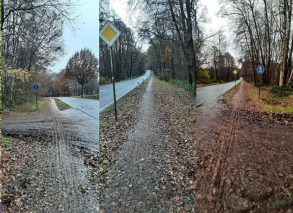 Laubverschmutzte Fahradwege